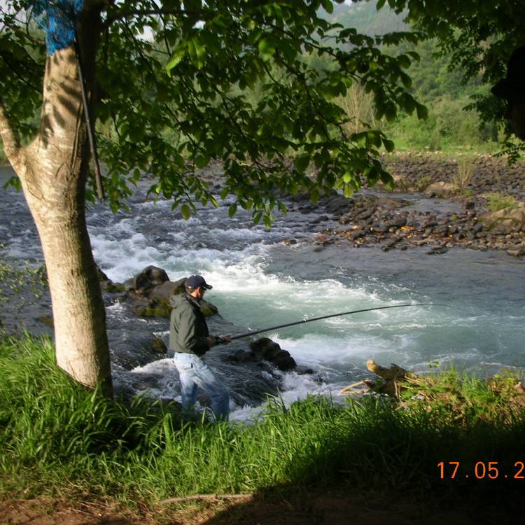 NORMATIVA PESCA EN ASTURIAS TEMPORADA 2025